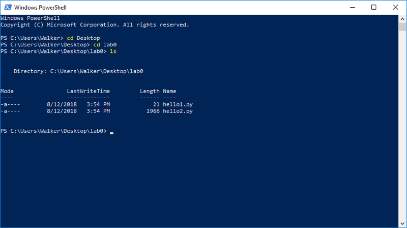 PowerShell window