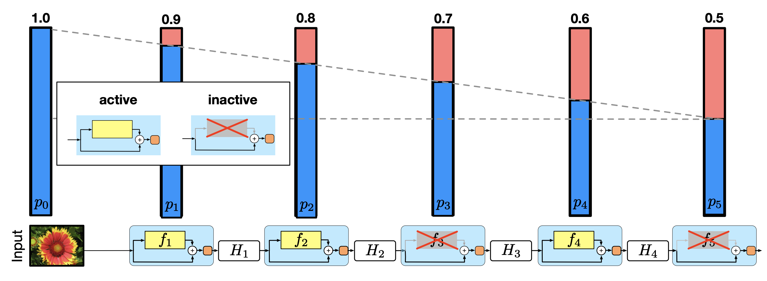 Linear Decay of the Survival Probability