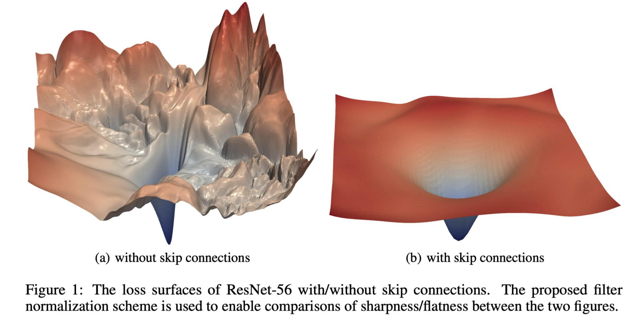 Visualizing the Effect of Residual Connections through the landscape of the objective function