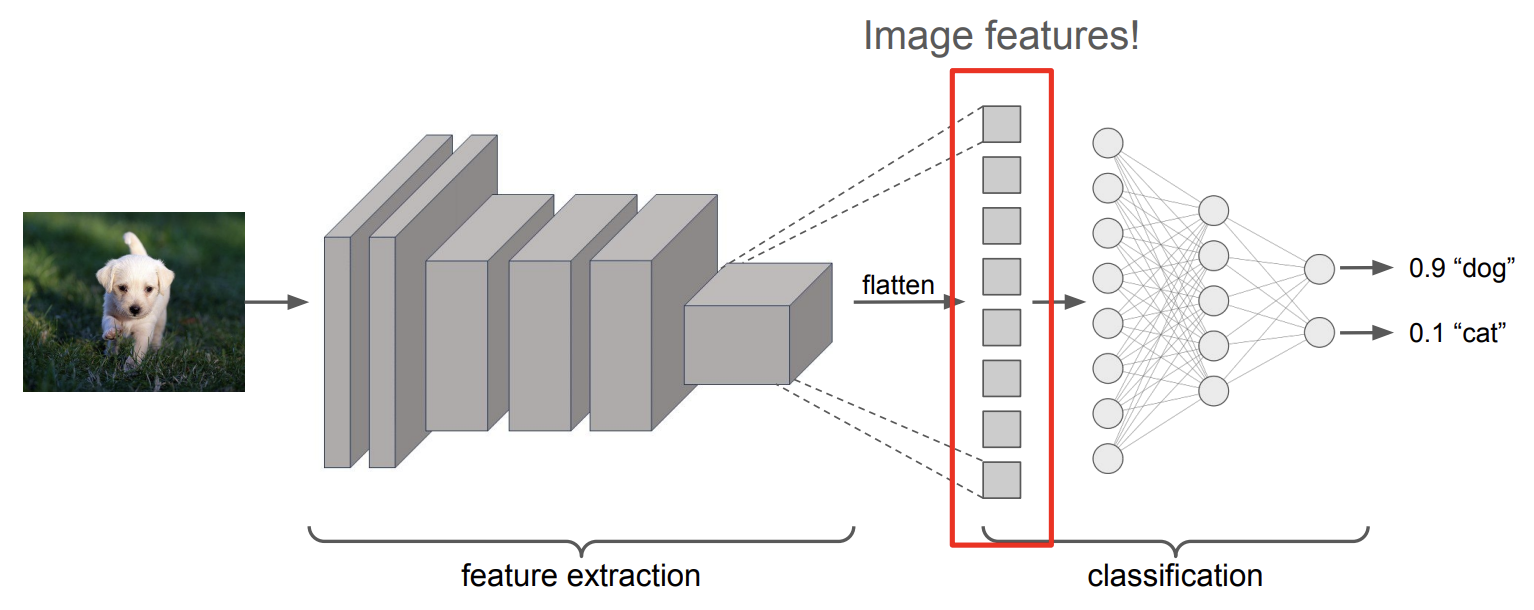 Image classification network