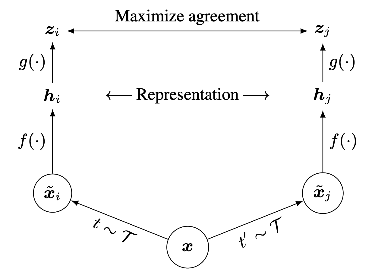 SimCLR framework overview