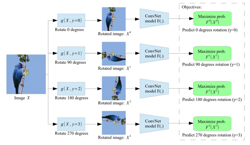 Rotation Pretext Task label generation