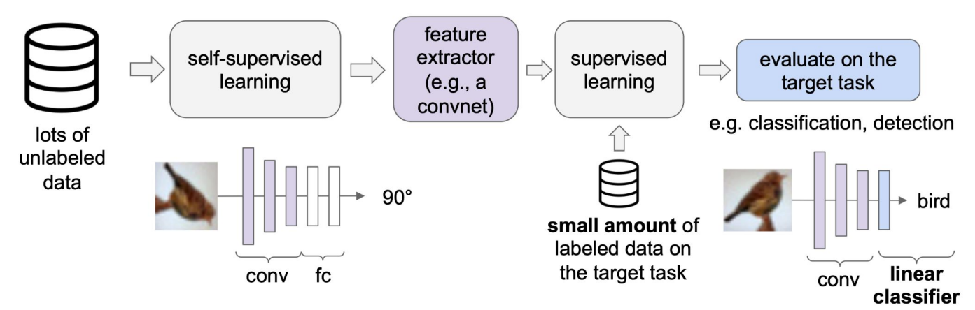 Adapting Pre-trained Network for Downstream Tasks